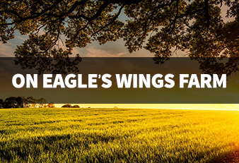 On Eagle's Wings Farm Ministry